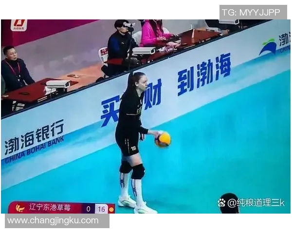 2015年天津女排与辽宁女排精彩对决视频回顾与分析