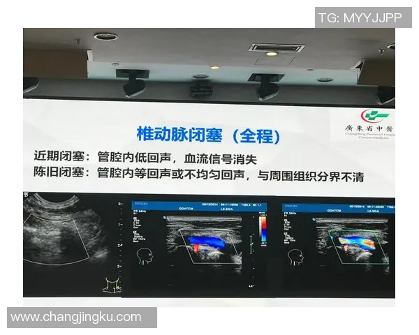 哈肯与哈马比的对决分析及双方近期状态评估 哈肯与哈马比的对决分析及双方近期状态评估