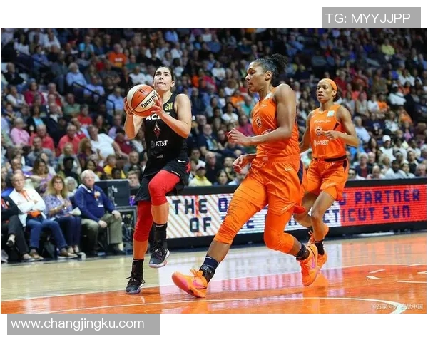 2017年太阳队与自由人队的精彩对决回顾与赛季分析