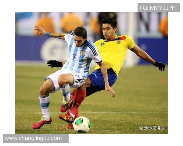 2019年阿根廷与智利激战回顾：足球盛宴中的荣耀与遗憾